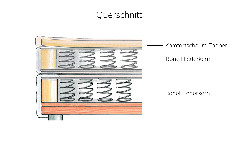 Querschnitt