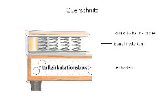 Querschnitt