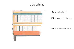 Querschnitt