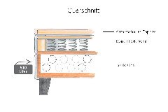 Querschnitt