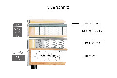 Querschnitt