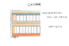 Querschnitt