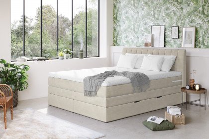 Shark von COTTA - Boxspringbett natural