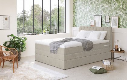 Shark von COTTA - Boxspringbett elephant