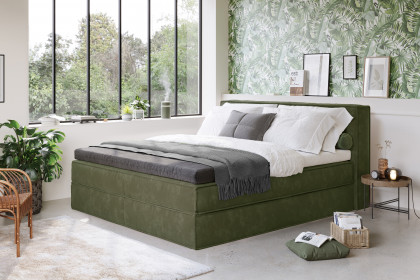 Milano von COTTA - Boxspringbett olive