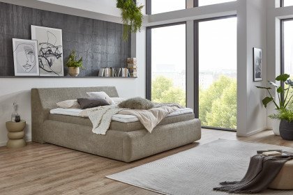 Perla-Dream von Tidur - Boxspringbett Torata nougat